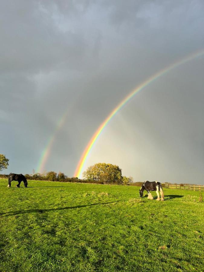 Appaloosa Suite With Amazing Views Of Stud Farm. Driffield Exterior foto